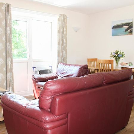 Wren Cottage Llandeilo Zewnętrze zdjęcie