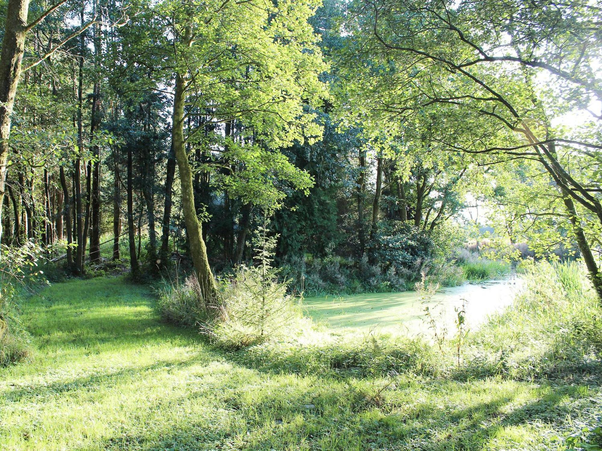 Wren Cottage Llandeilo Zewnętrze zdjęcie